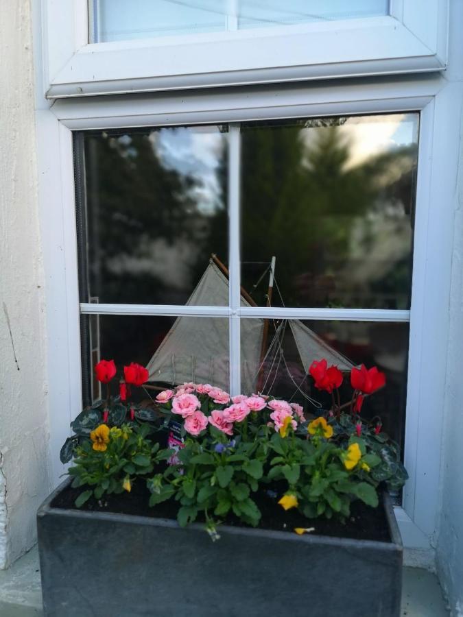Riverside Cottage At Logwood Mill Ballyclare Exterior foto